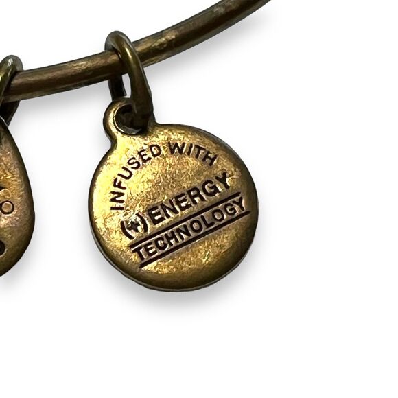 Alex and Ani Energy Womens Bangles Charm Bracelets Set of 2 Fashion Jewelry - Picture 8 of 16
